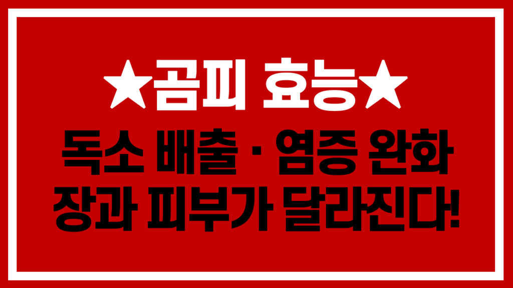 곰피 효능을 정리한 썸네일 이미지로 독소 배출과 염증 완화, 장과 피부 건강에 도움 되는 해조류 곰피를 소개하고 있습니다